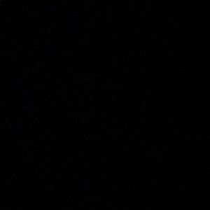 Meet your Posher, Karina